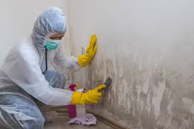 Mold Documentation for Insurance Claims in Sherwood, OR